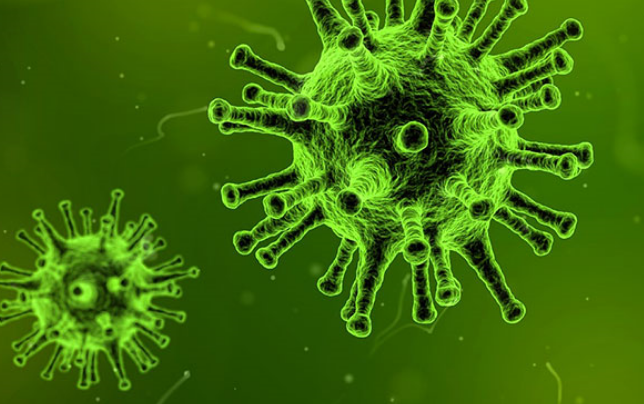 New ETVAX® data will be presented during Vaccines for Enteric Diseases (VED) conference