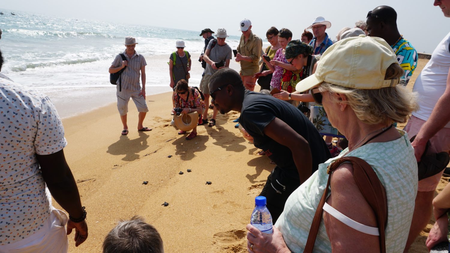 Lovande resultat för ETVAX® från fas 2b-studien hos finska resenärer till Benin, Västafrika